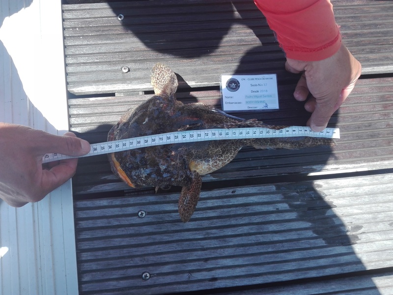 Fish Measure Picture