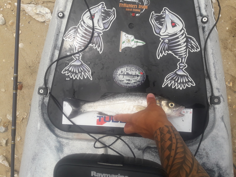 Fish Measure Picture