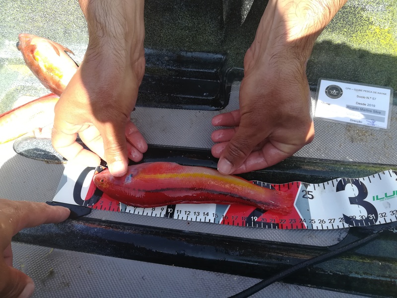 Fish Measure Picture