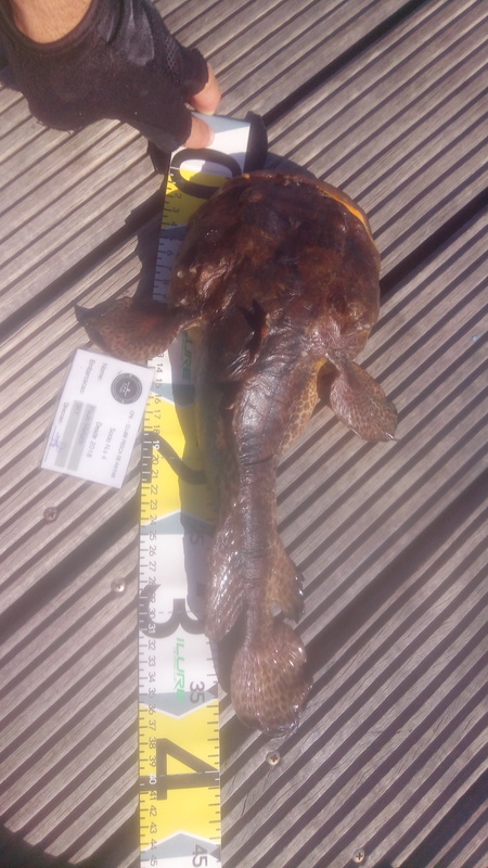 Fish Measure Picture