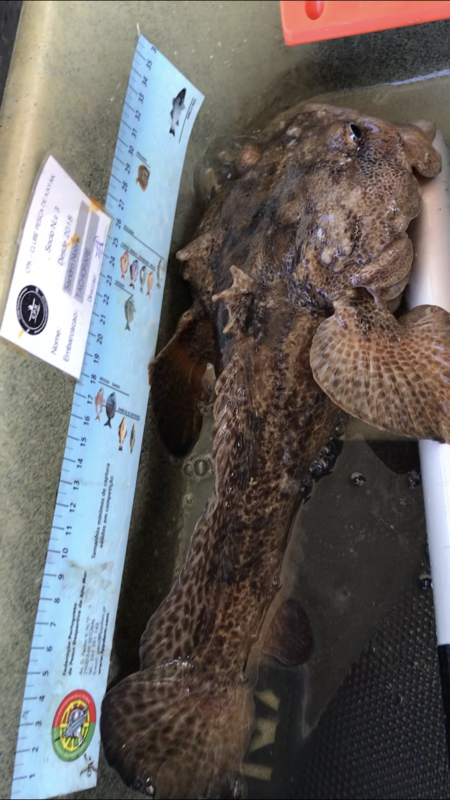 Fish Measure Picture