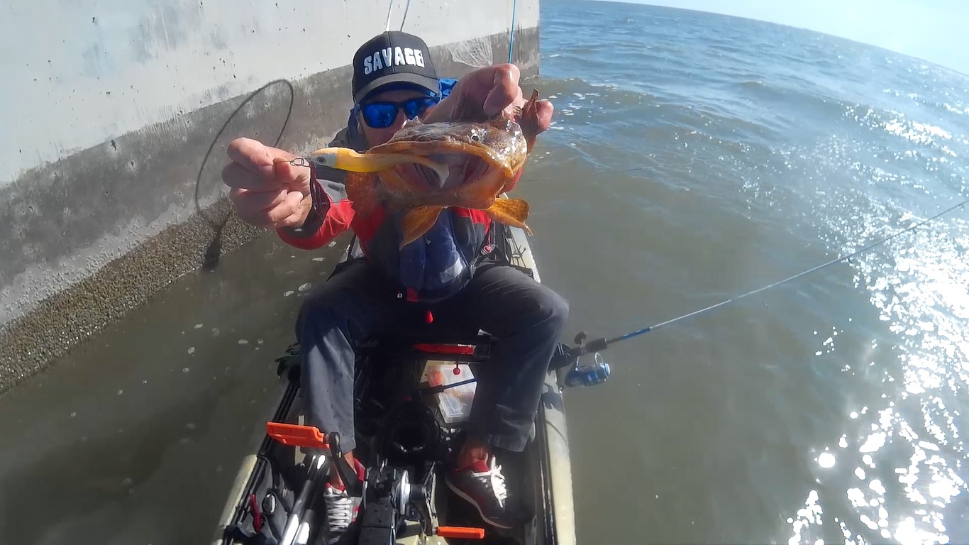 Fish Profile Picture