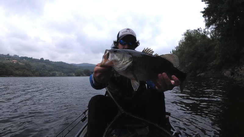 Fish Profile Picture