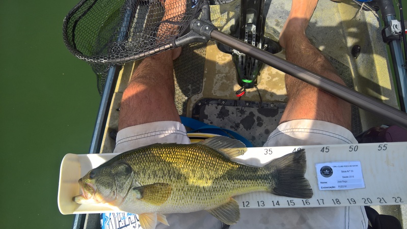 Fish Measure Picture