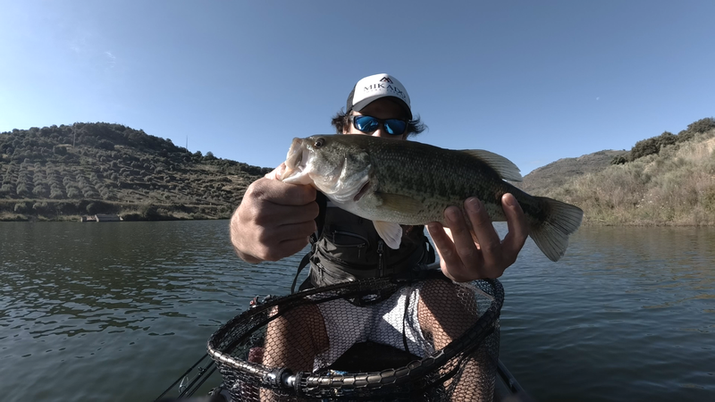 Fish Profile Picture