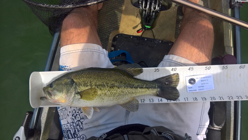 Fish Measure Picture