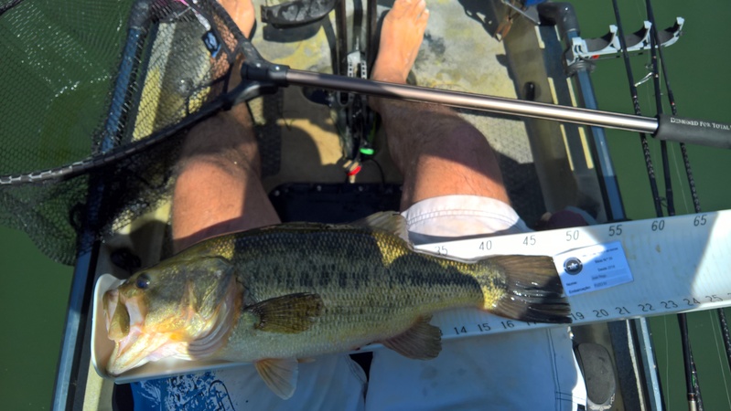 Fish Measure Picture