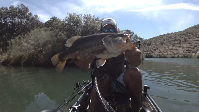 Fish Profile Picture