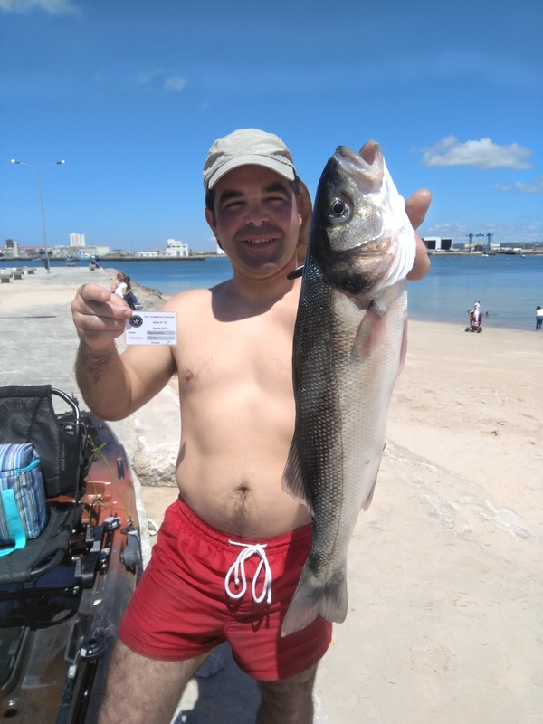 Fish Profile Picture
