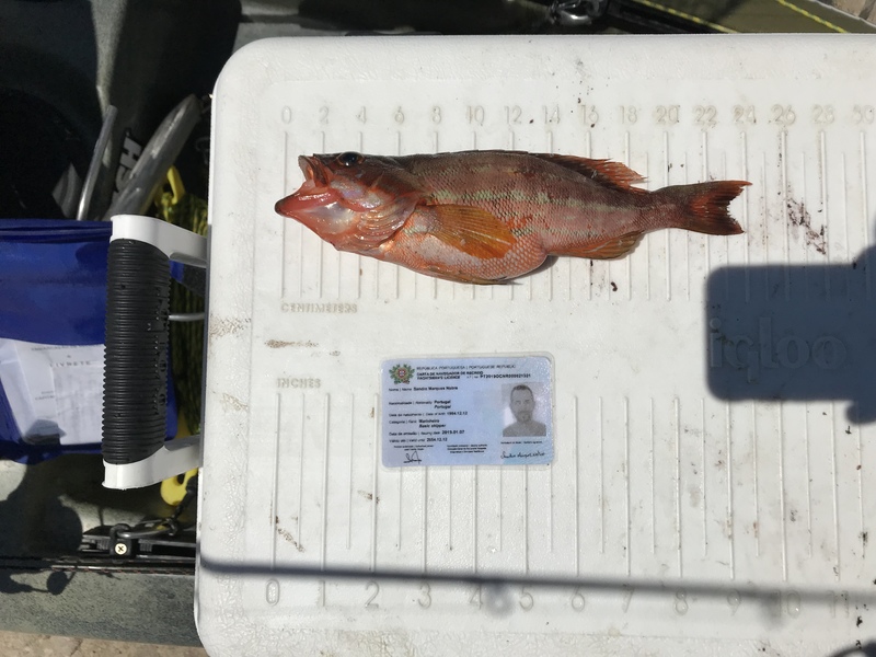 Fish Measure Picture