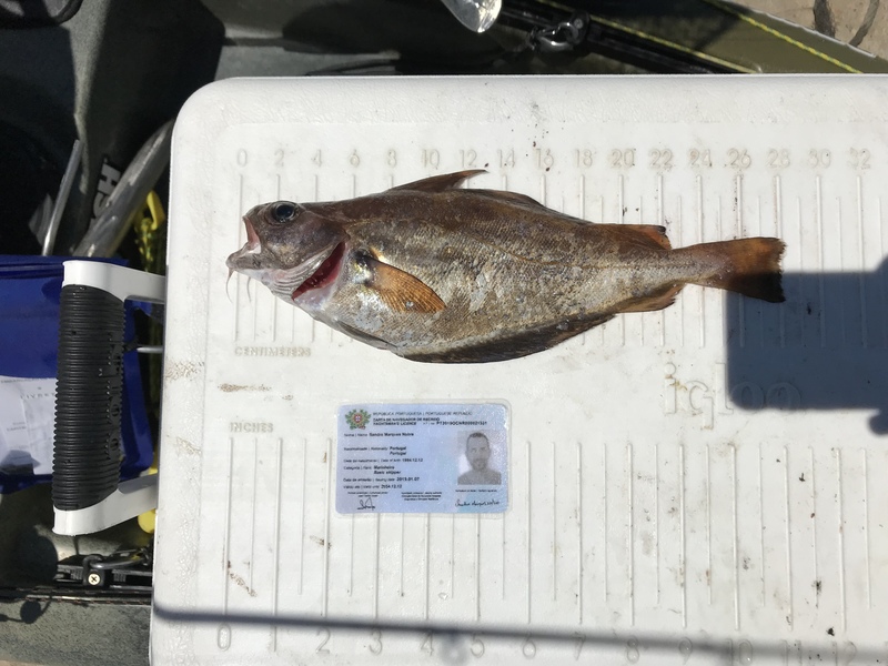 Fish Measure Picture