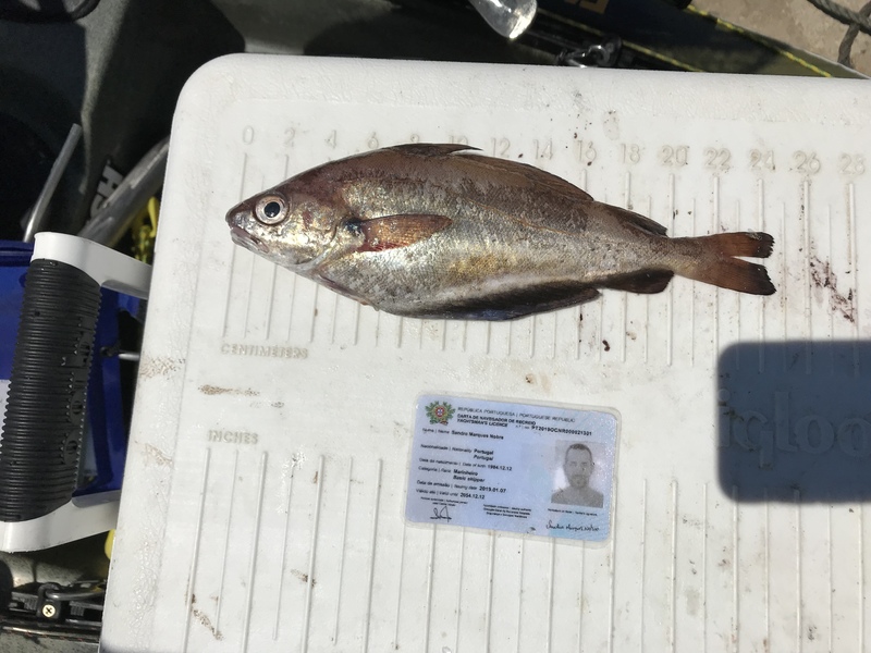 Fish Measure Picture