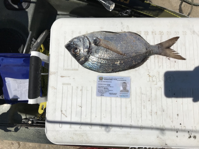 Fish Measure Picture