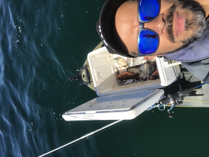 Fish Profile Picture