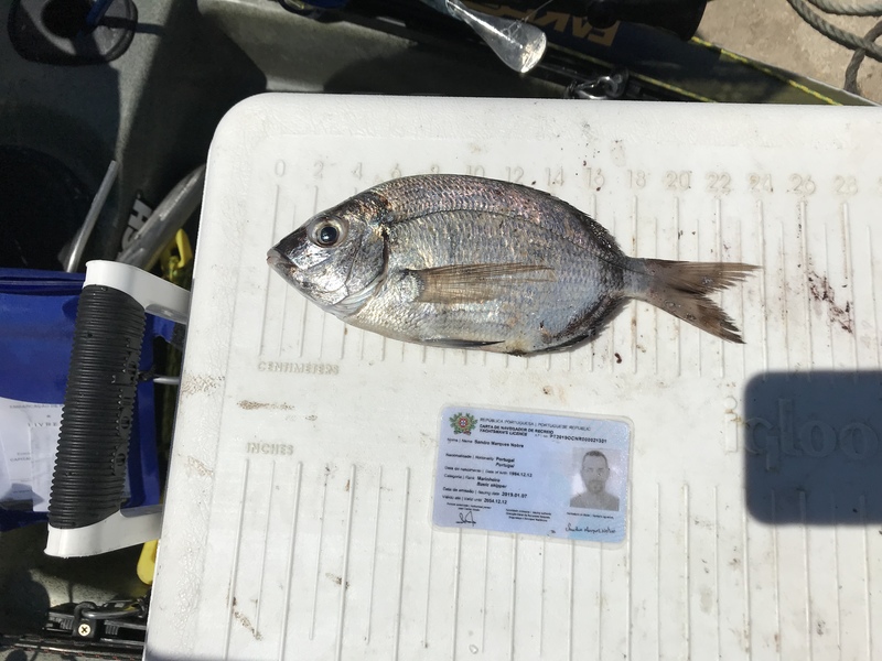 Fish Measure Picture