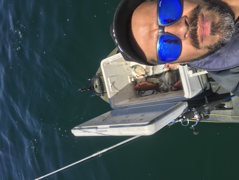 Fish Profile Picture