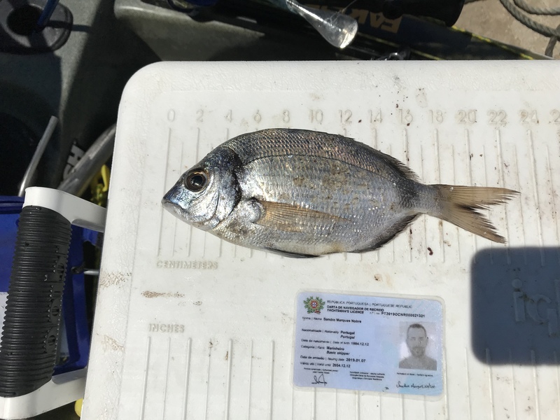 Fish Measure Picture