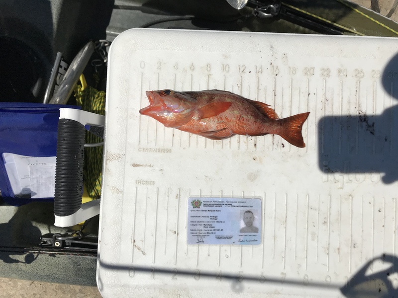 Fish Measure Picture