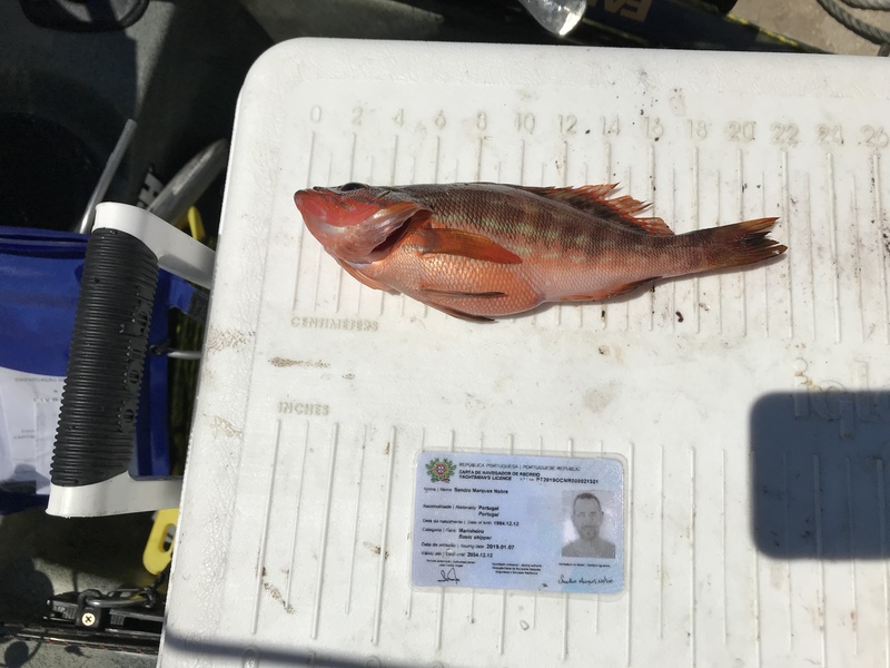 Fish Measure Picture