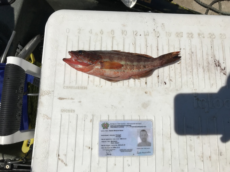 Fish Measure Picture