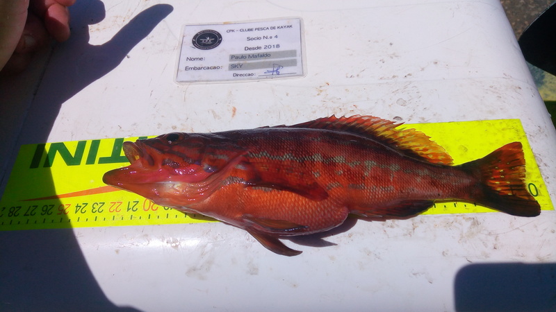 Fish Measure Picture