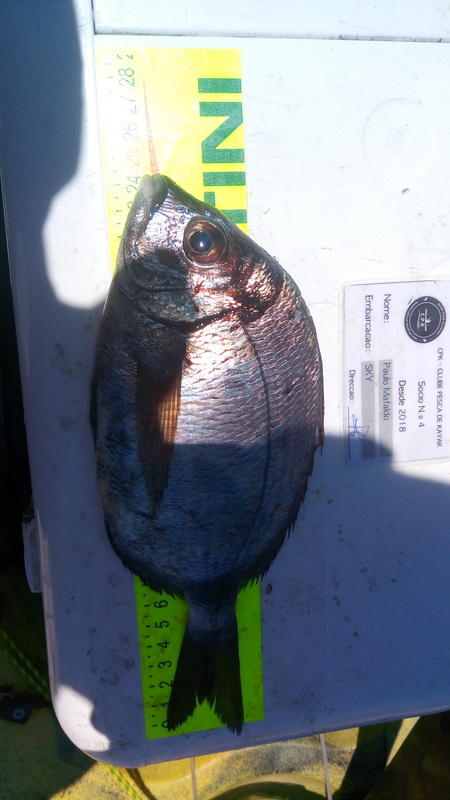 Fish Measure Picture