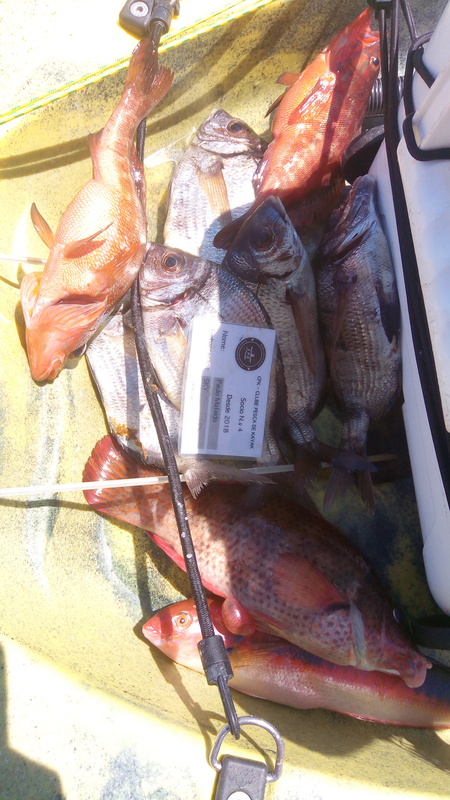 Fish Profile Picture