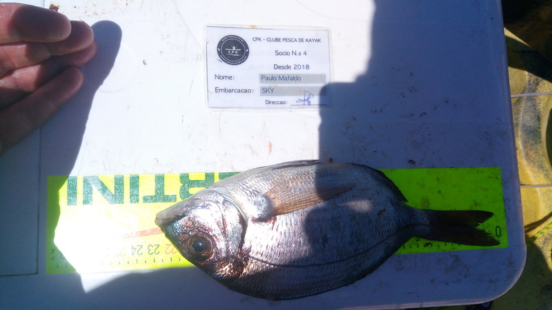 Fish Measure Picture