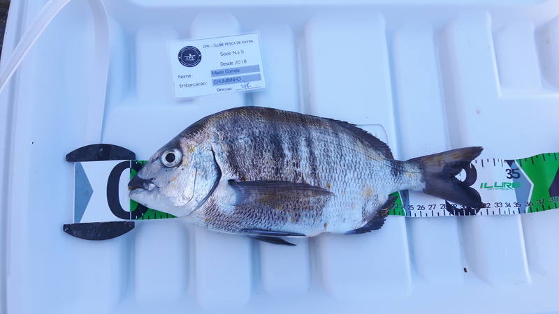 Fish Measure Picture