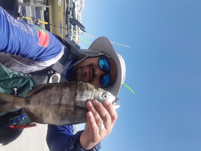 Fish Profile Picture