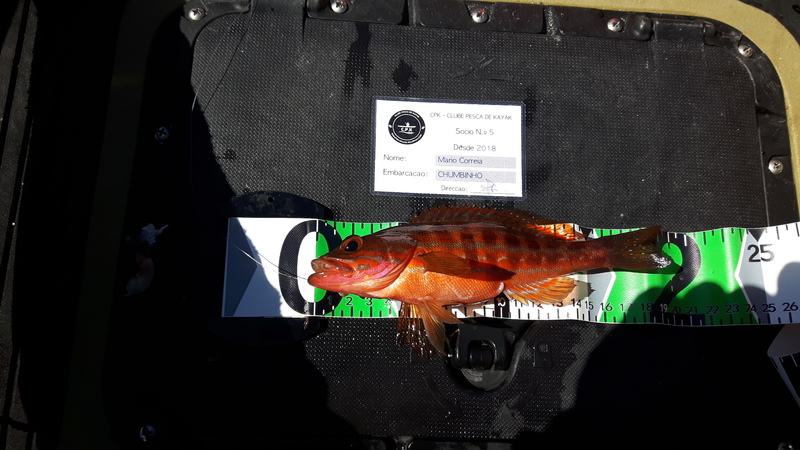 Fish Measure Picture