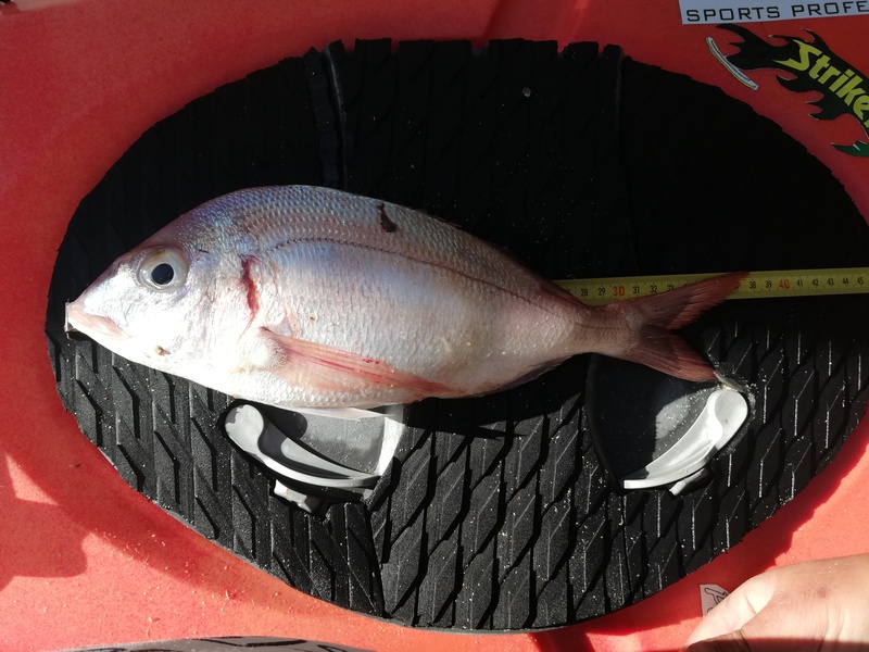 Fish Measure Picture