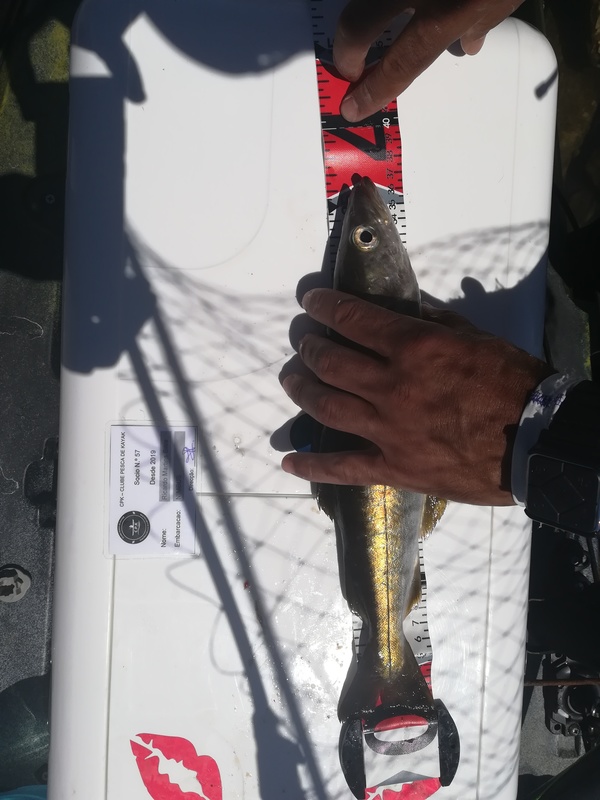 Fish Measure Picture