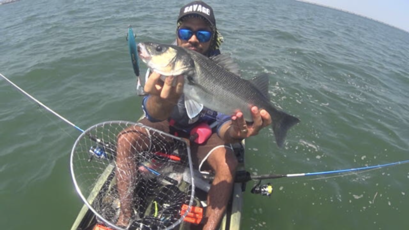 Fish Profile Picture