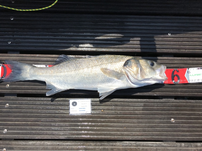 Fish Measure Picture