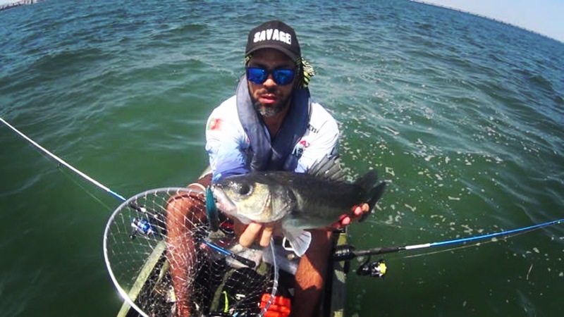 Fish Profile Picture