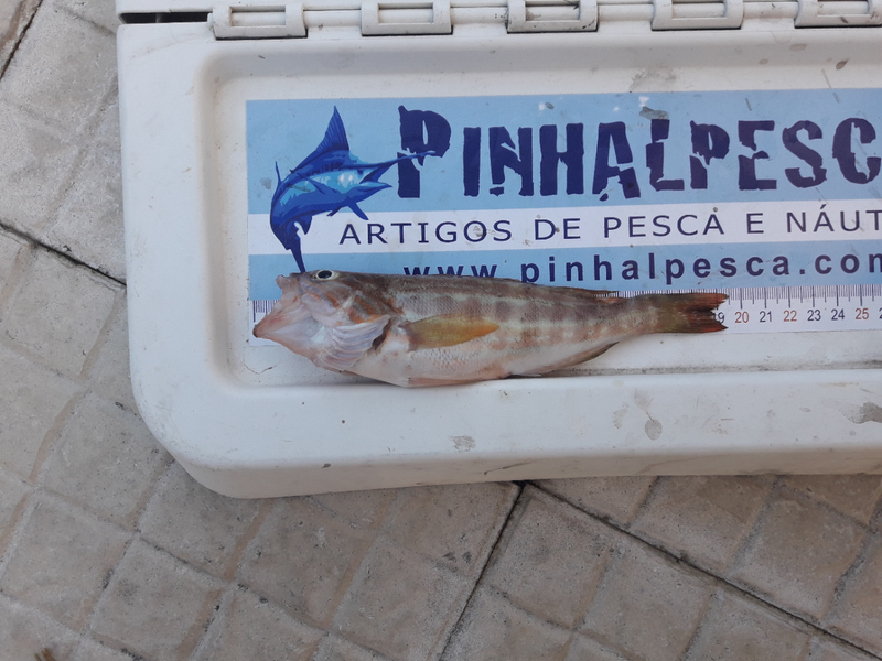 Fish Measure Picture