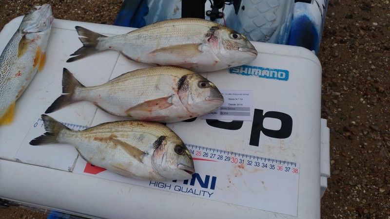 Fish Measure Picture