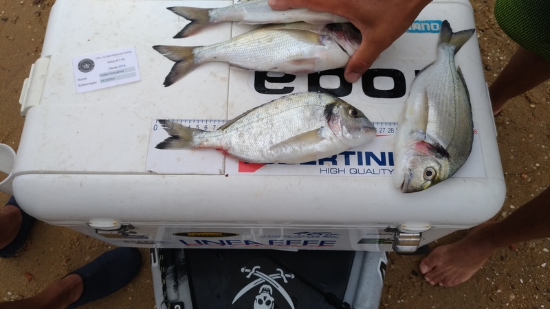 Fish Measure Picture