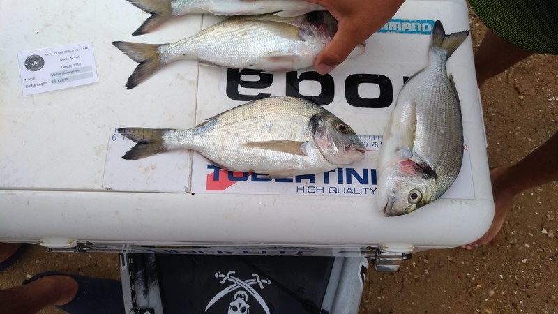 Fish Measure Picture