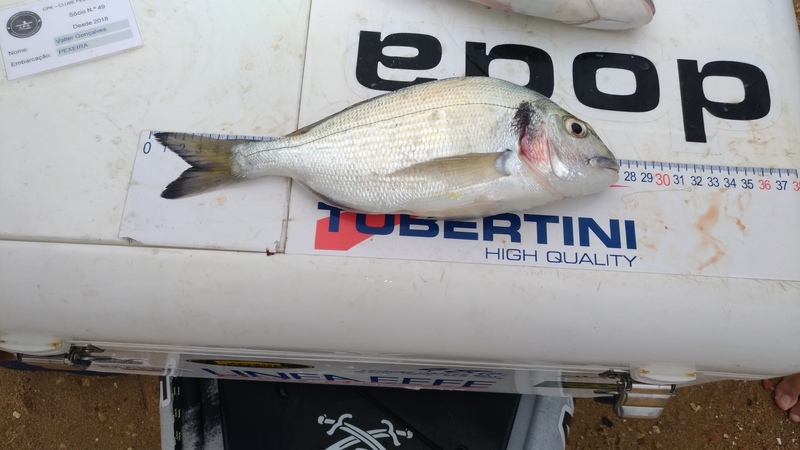 Fish Measure Picture