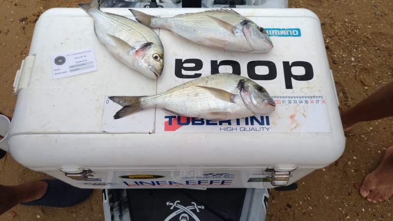 Fish Measure Picture