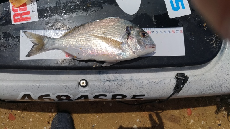 Fish Measure Picture
