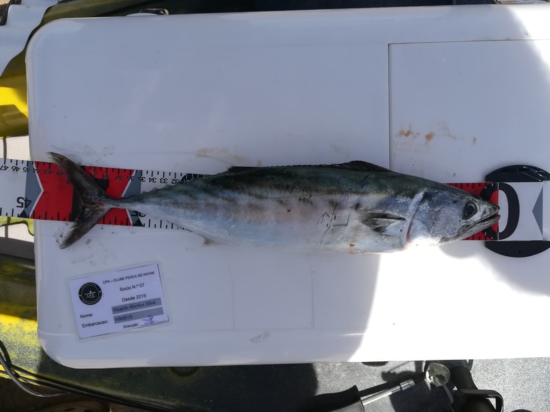 Fish Measure Picture