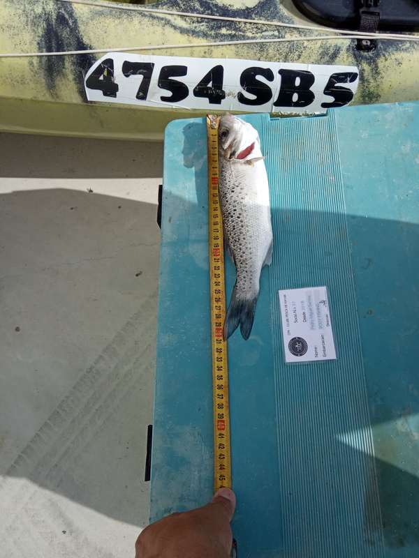Fish Measure Picture