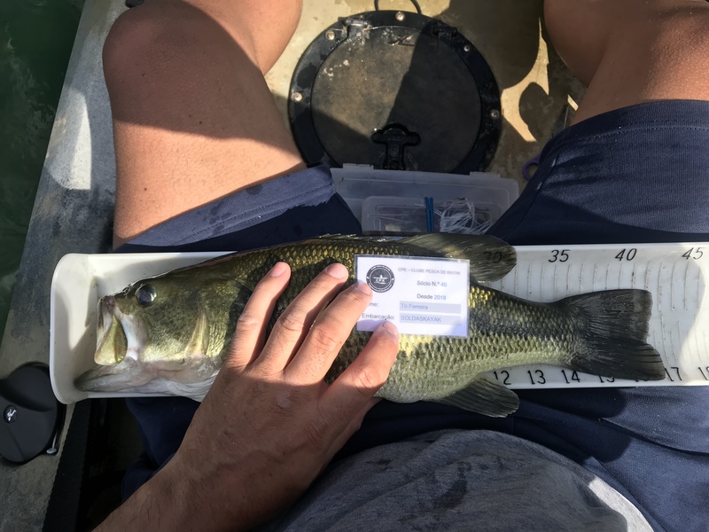 Fish Measure Picture