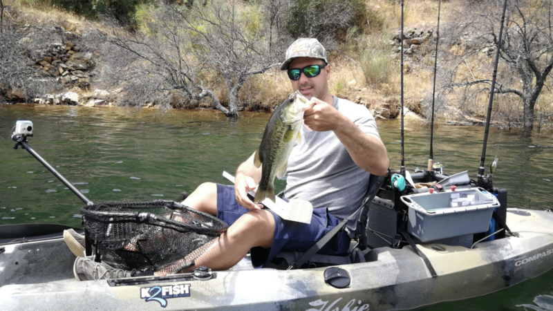 Fish Profile Picture