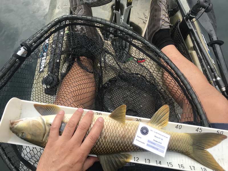 Fish Measure Picture