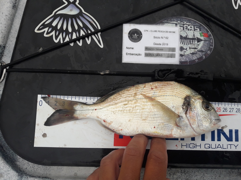 Fish Measure Picture