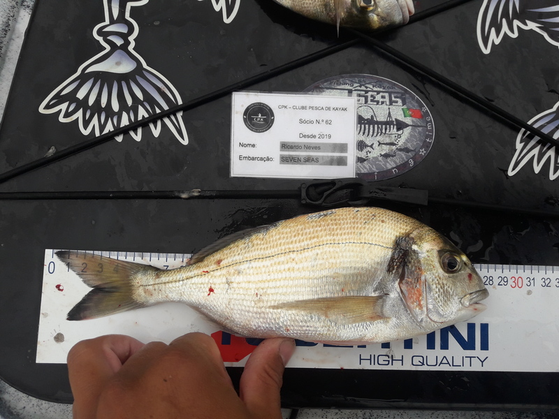 Fish Measure Picture